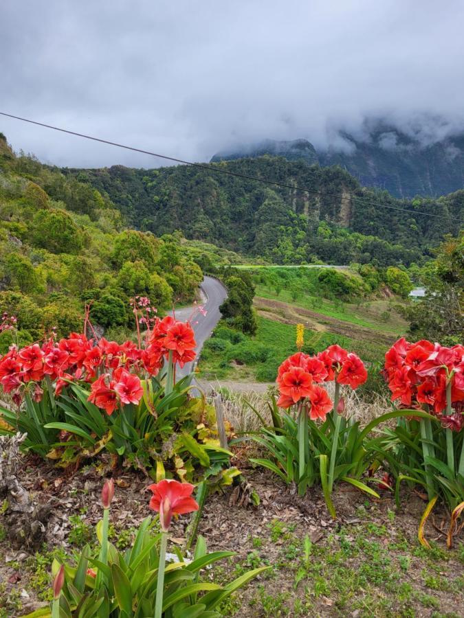 Case Creole Soalaze ซาลาซี ภายนอก รูปภาพ